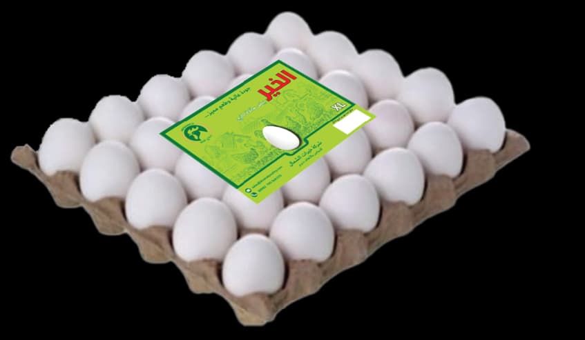 بيض زاد الخير